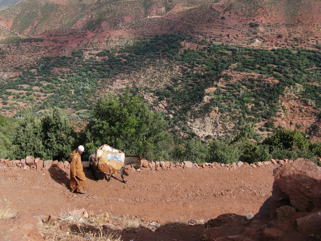 Vallée dans la région de Marrakech