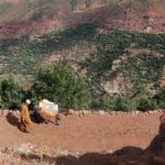 Vallée dans la région de Marrakech