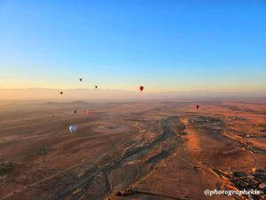 Sky-High Perspective: A Bird