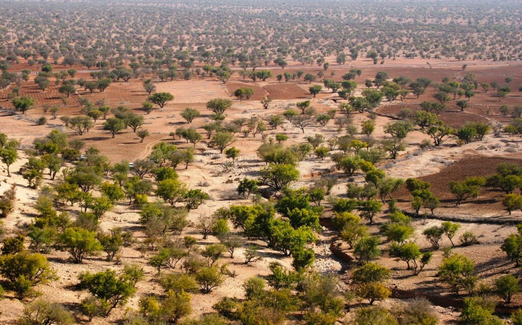 Désert Marocain